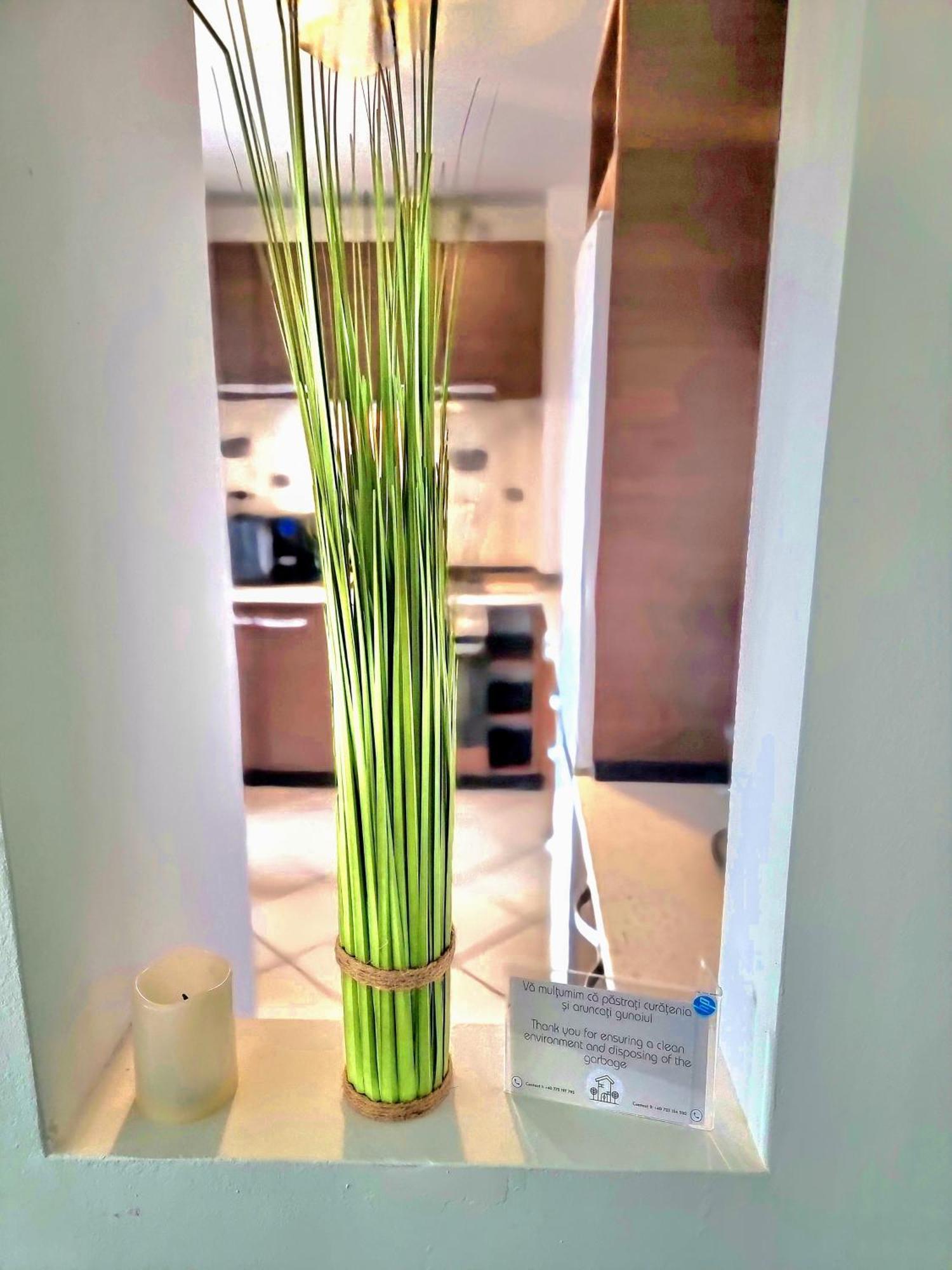 Ring Apartment Timisoara Luaran gambar